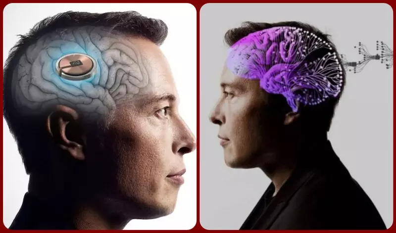Check Out All You Need to Know About Elon Musk's Neuralink Brain Chip